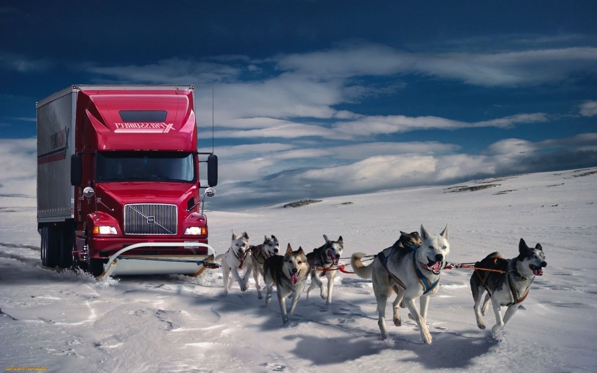 photo manipulation vehicle snow dog winter outdoors transportation system competition road race