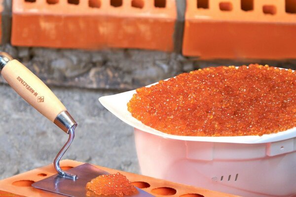 Caviar on a spatula and a brick