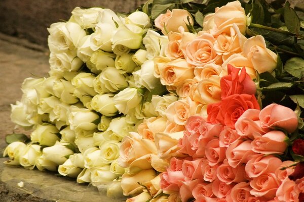 Bouquets of roses in scarlet red and white