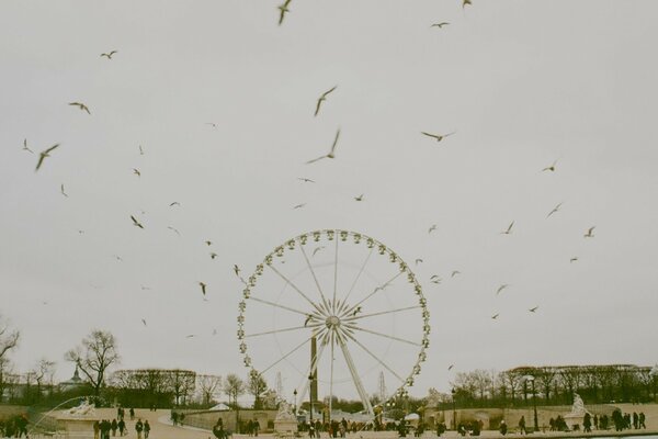 Riesenrad auf bewölktem Himmel Hintergrund