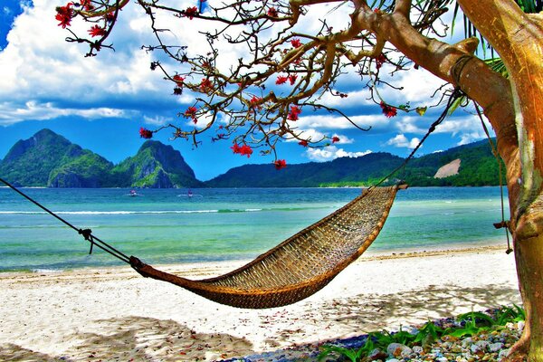 A picture of a fascinating landscape on the seashore