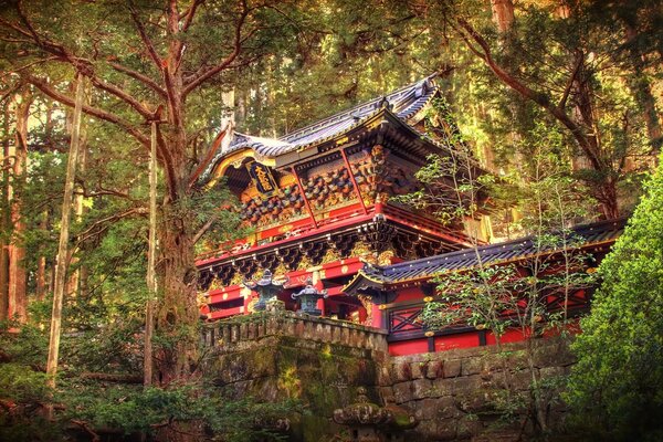 Schöner Tempel im sonnigen Wald