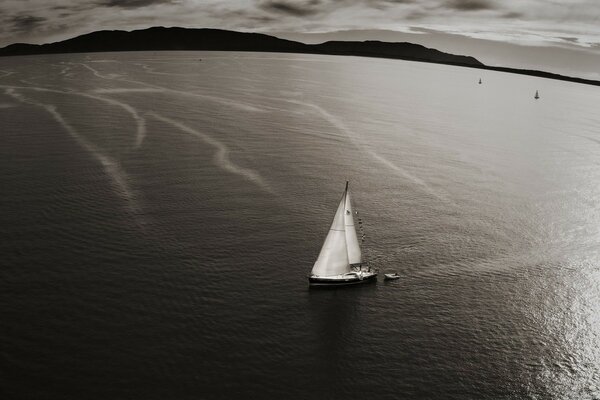 Voilier blanc sur la surface de la mer