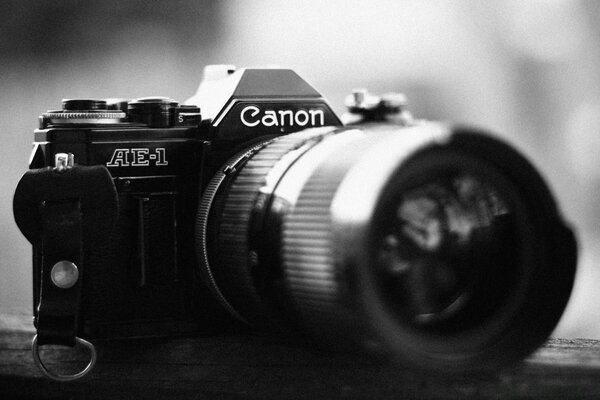 The object of the camera. The Art of Photography