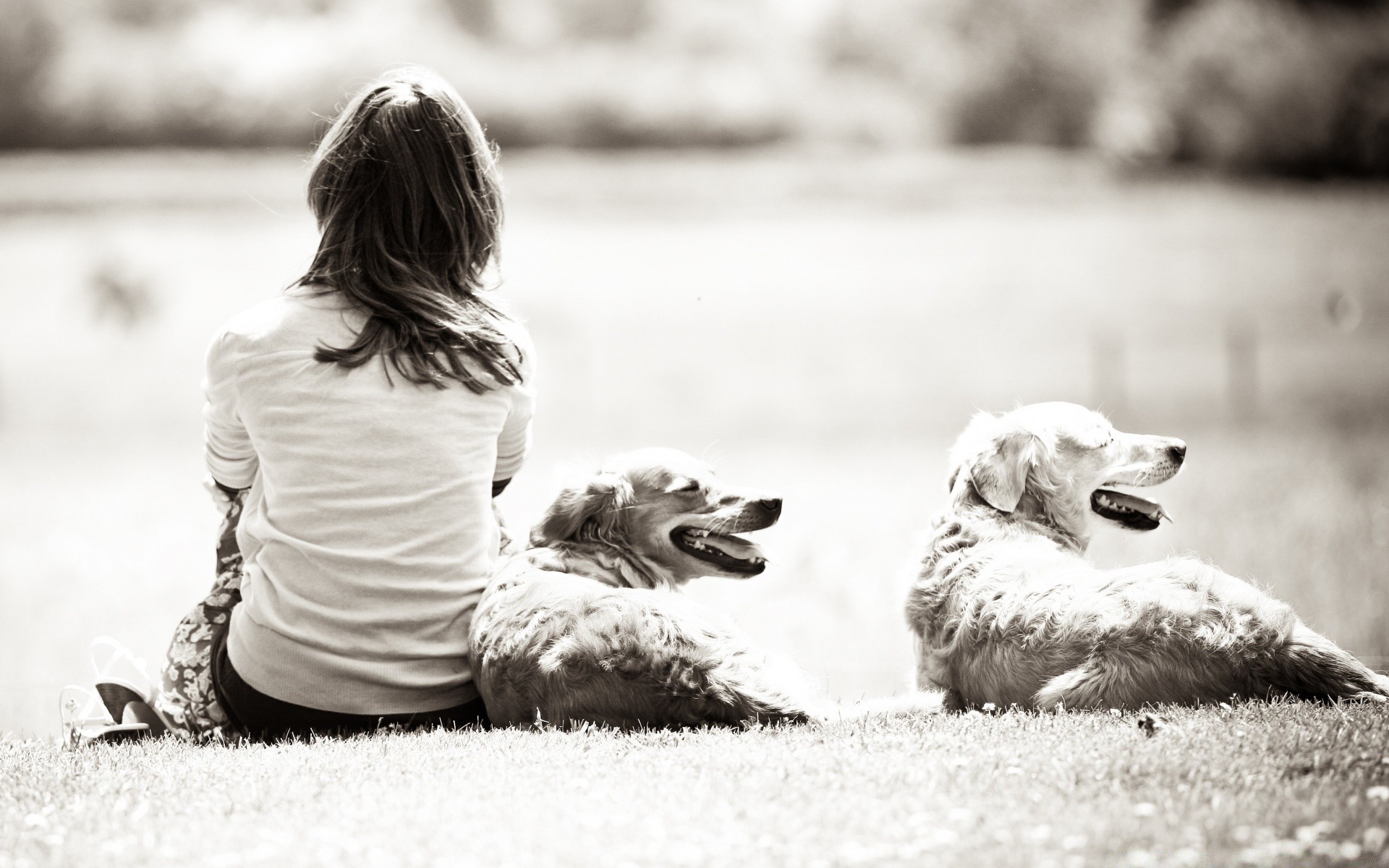 vintage tek renkli köpek çocuk doğa çimen park portre açık havada bir sevimli köpek eğitmeni kız çocuk hayvan siyah ve beyaz