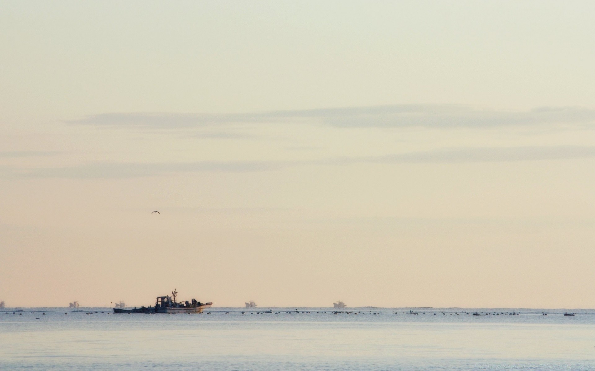 复古 水 海 海滩 海洋 雾 景观 湖 海 日落 天空 自然 黎明 汽车 船只 河