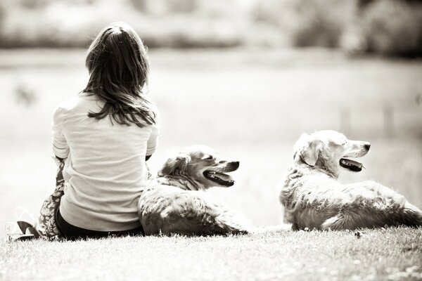 Monochrome photo of a girl with two dogs in nature