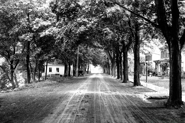 Schwarz-Weiß-Foto der Gasse