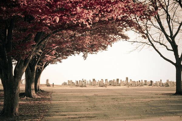 Beautiful urban autumn landscape in the park