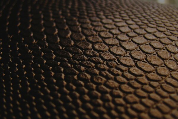 Brown textured reptile skin