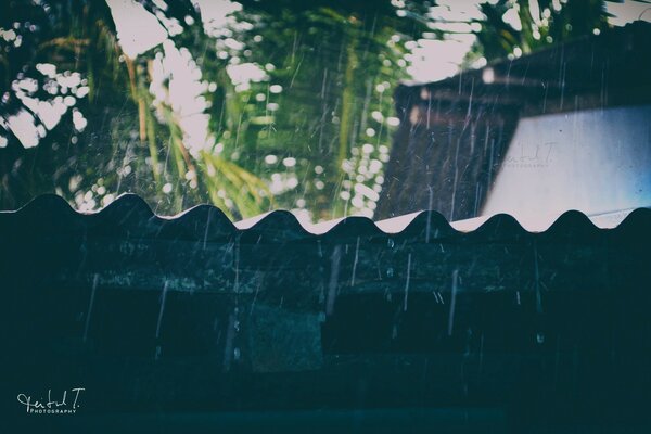 插图，雨滴在屋顶上