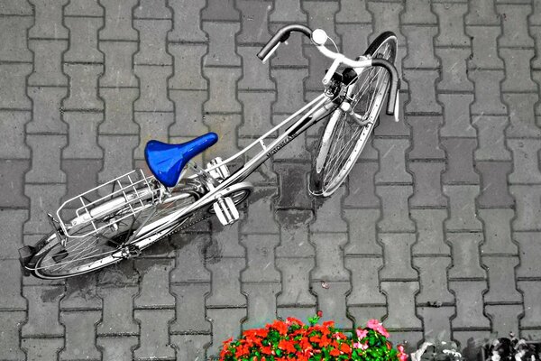 Foto de uma bicicleta ao lado de um canteiro de flores