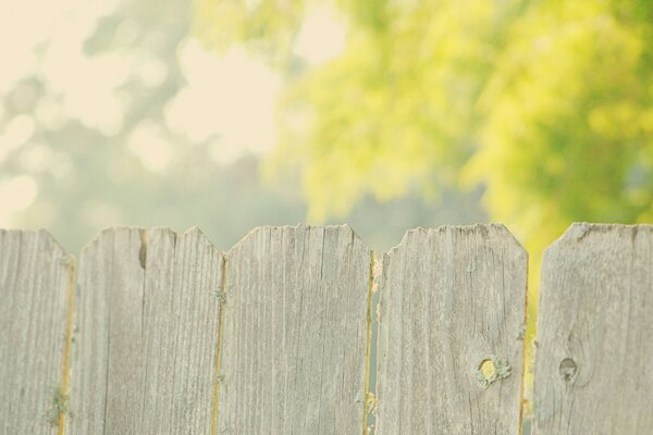 White fence in a country village