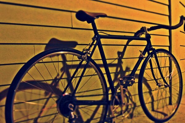 The bike is standing against the wall of the house