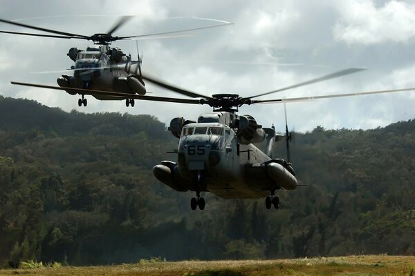 Two helicopters take off and the forest