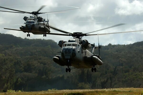 Два вертолета взлетают и лес