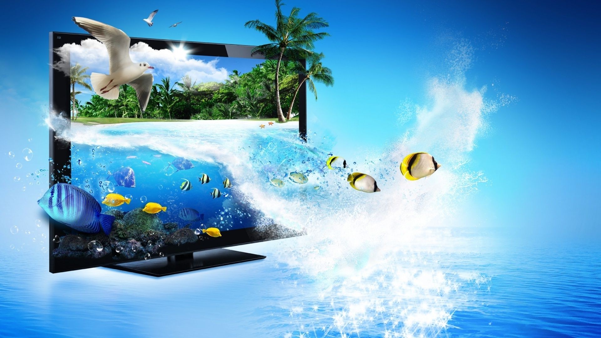 sea and ocean ocean travel water sky vacation swimming sea summer beach resort sun tropical leisure outdoors