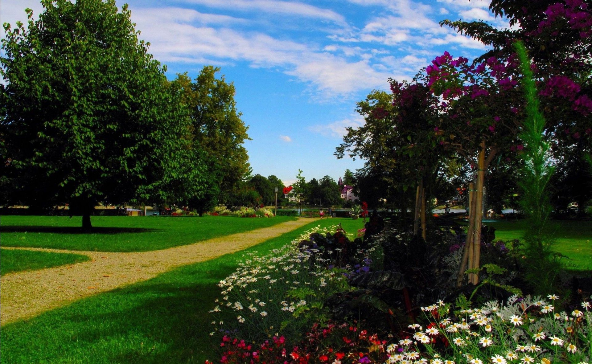 parcs arbre fleur pelouse herbe jardin paysage parc nature en plein air été feuille golf guide flore environnement