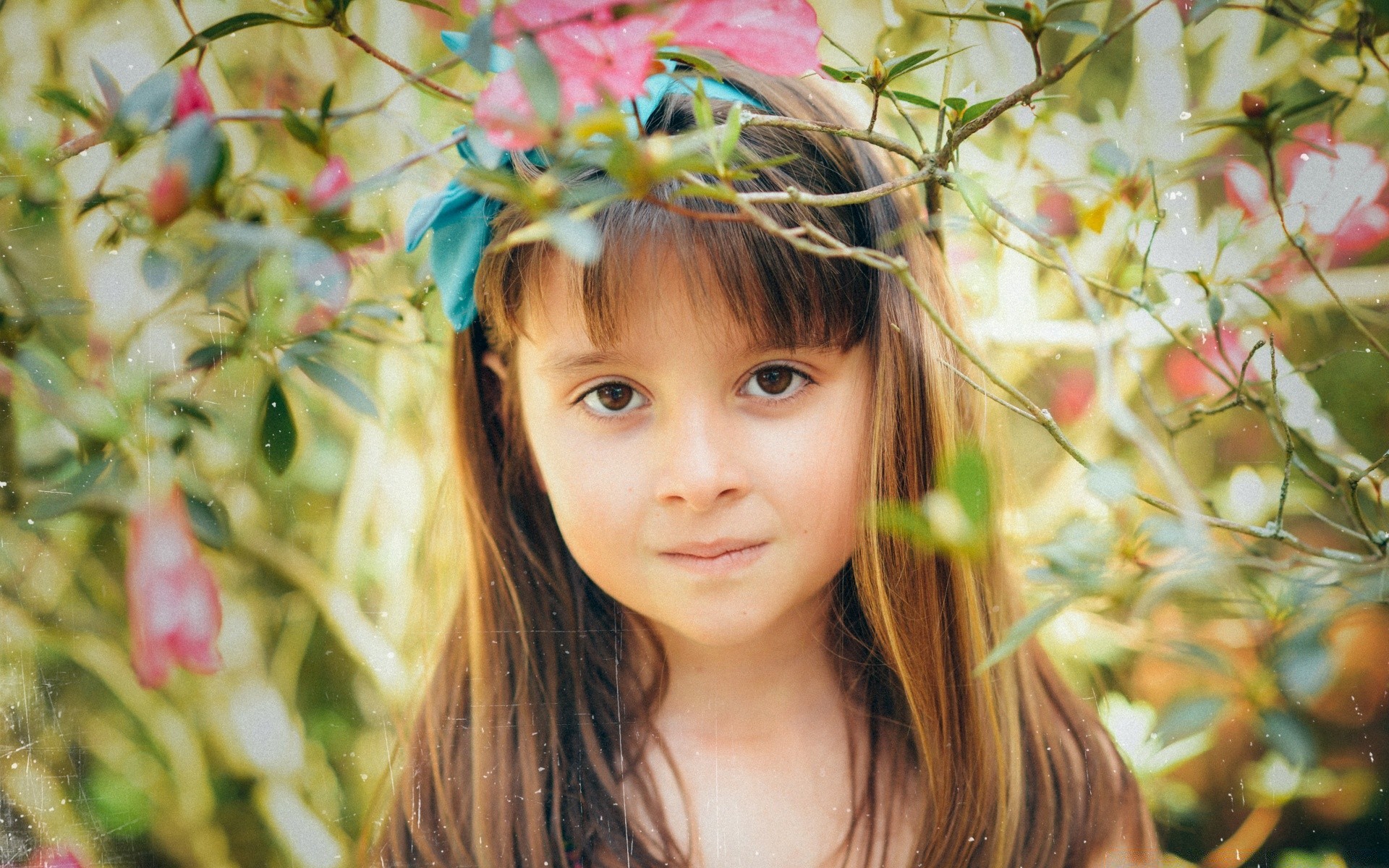 vintage natura bambino estate ragazza bella poco fiore carino piacere ritratto erba albero all aperto sorriso felicità gioia parco faccia autunno