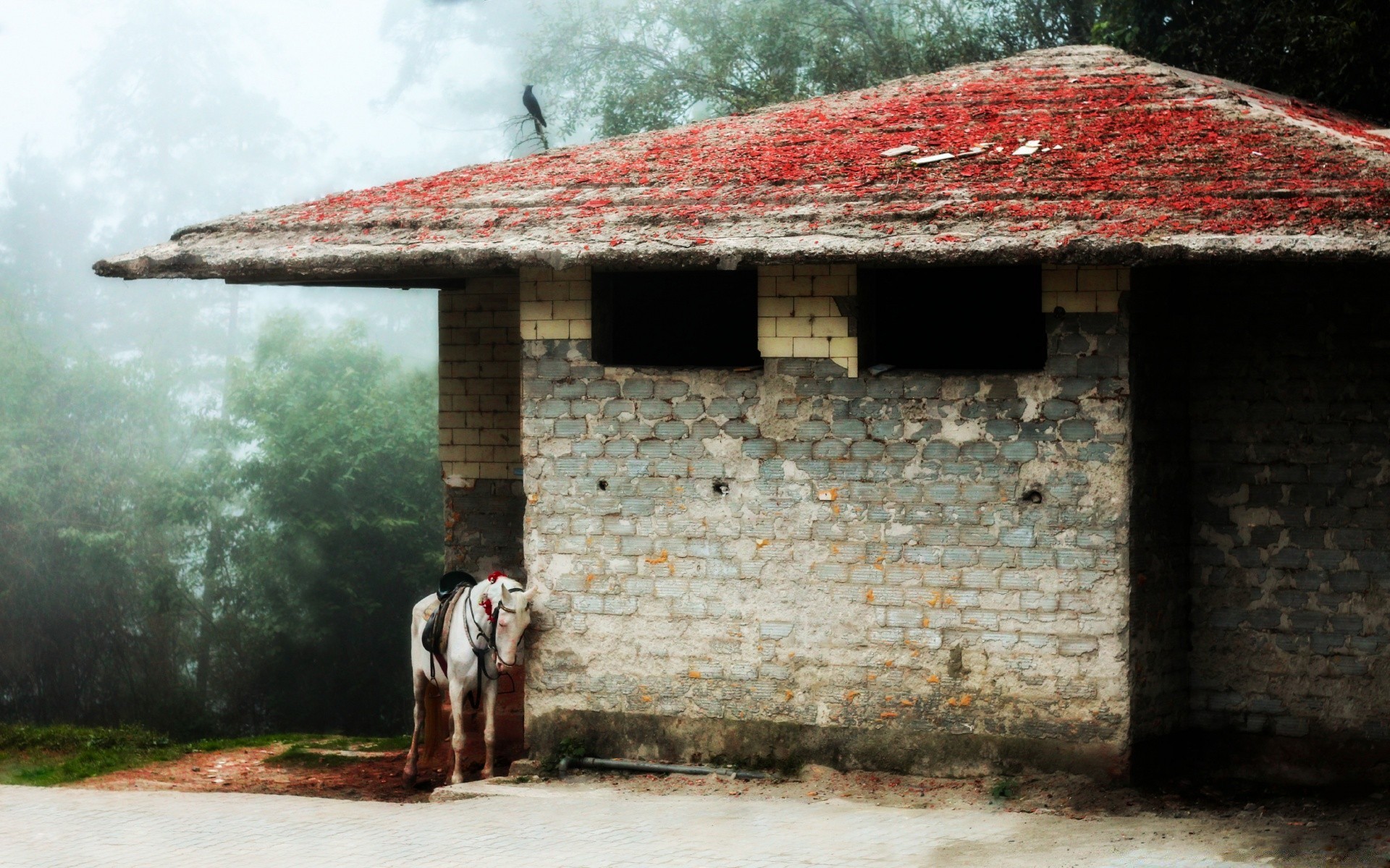 vintage casa arquitectura casa madera al aire libre viejo casa