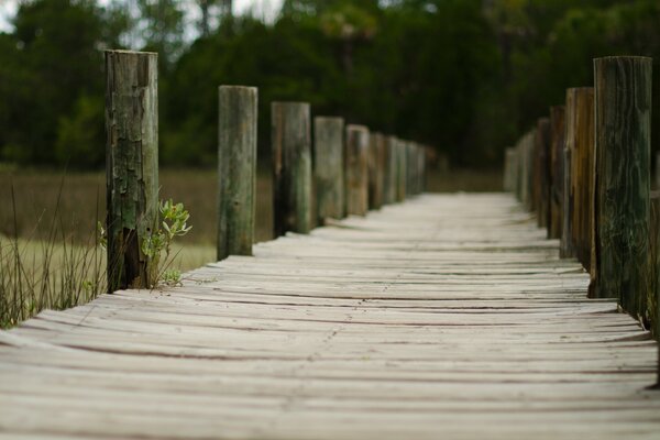 An old wooden deserted pier