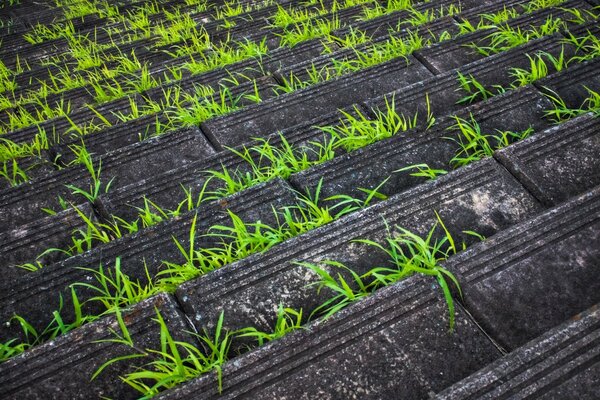 Nature un économiseur d écran de bureau