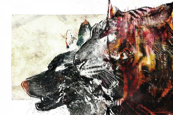 Vintage illustration of a tiger and a wolf photo