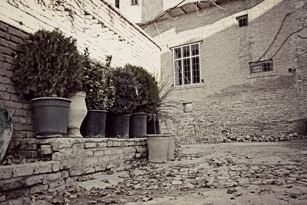 Un istantanea monocromatica della vecchia architettura della casa