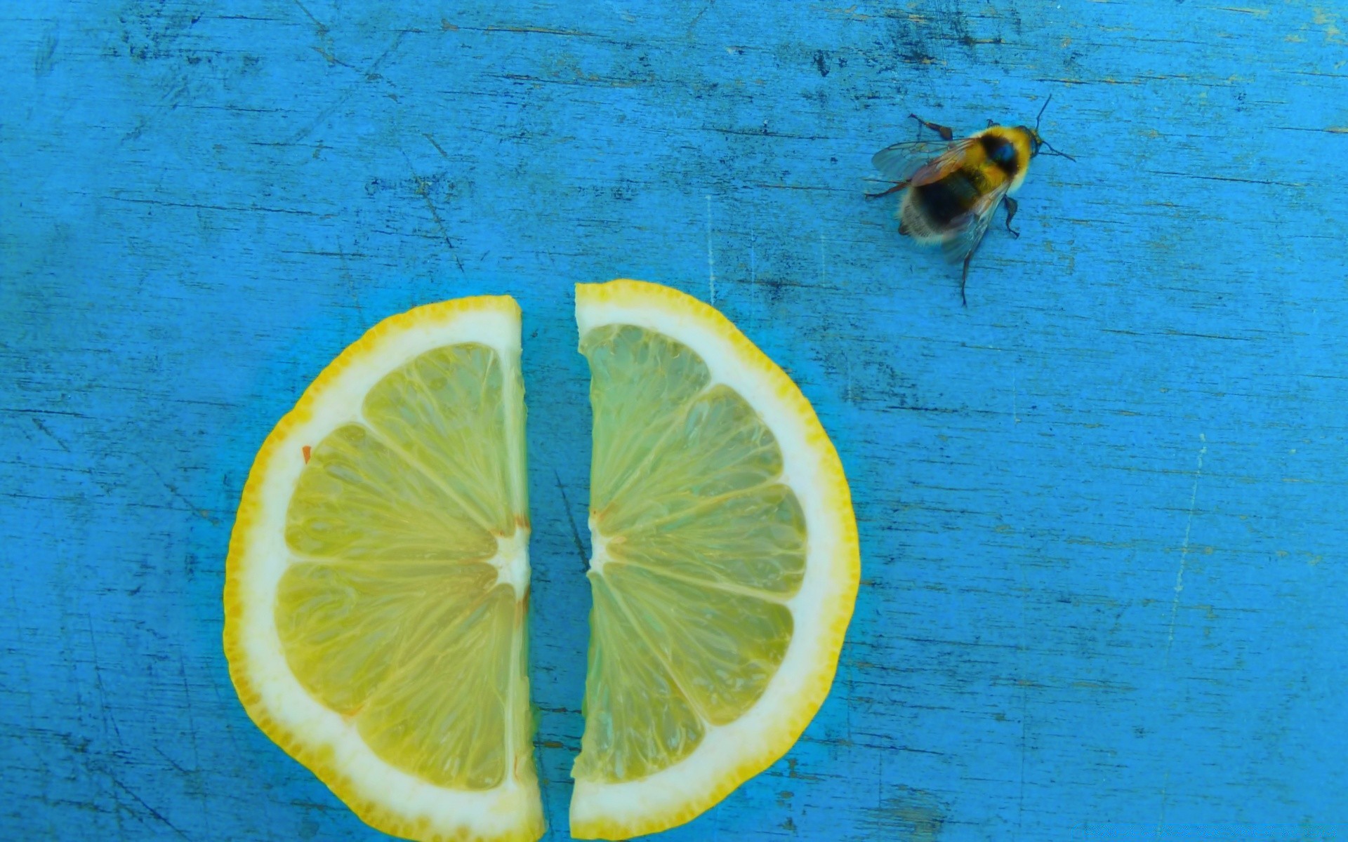 jahrgang tropisch zitrone unterwasser essen zitrusfrüchte desktop natur obst