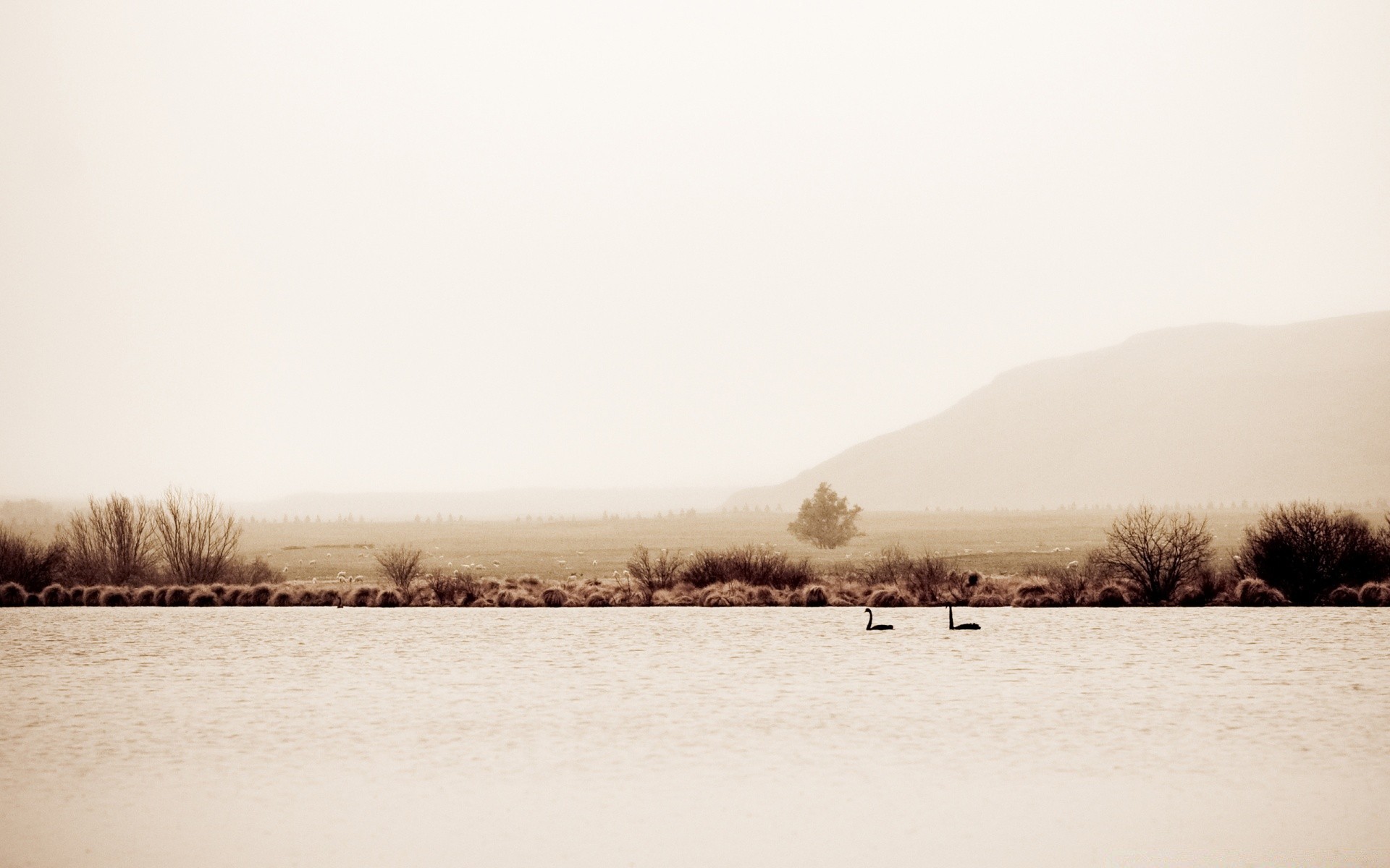 vintage niebla invierno paisaje nieve amanecer niebla árbol agua lago puesta de sol naturaleza frío río al aire libre clima cielo congelado hielo escarcha