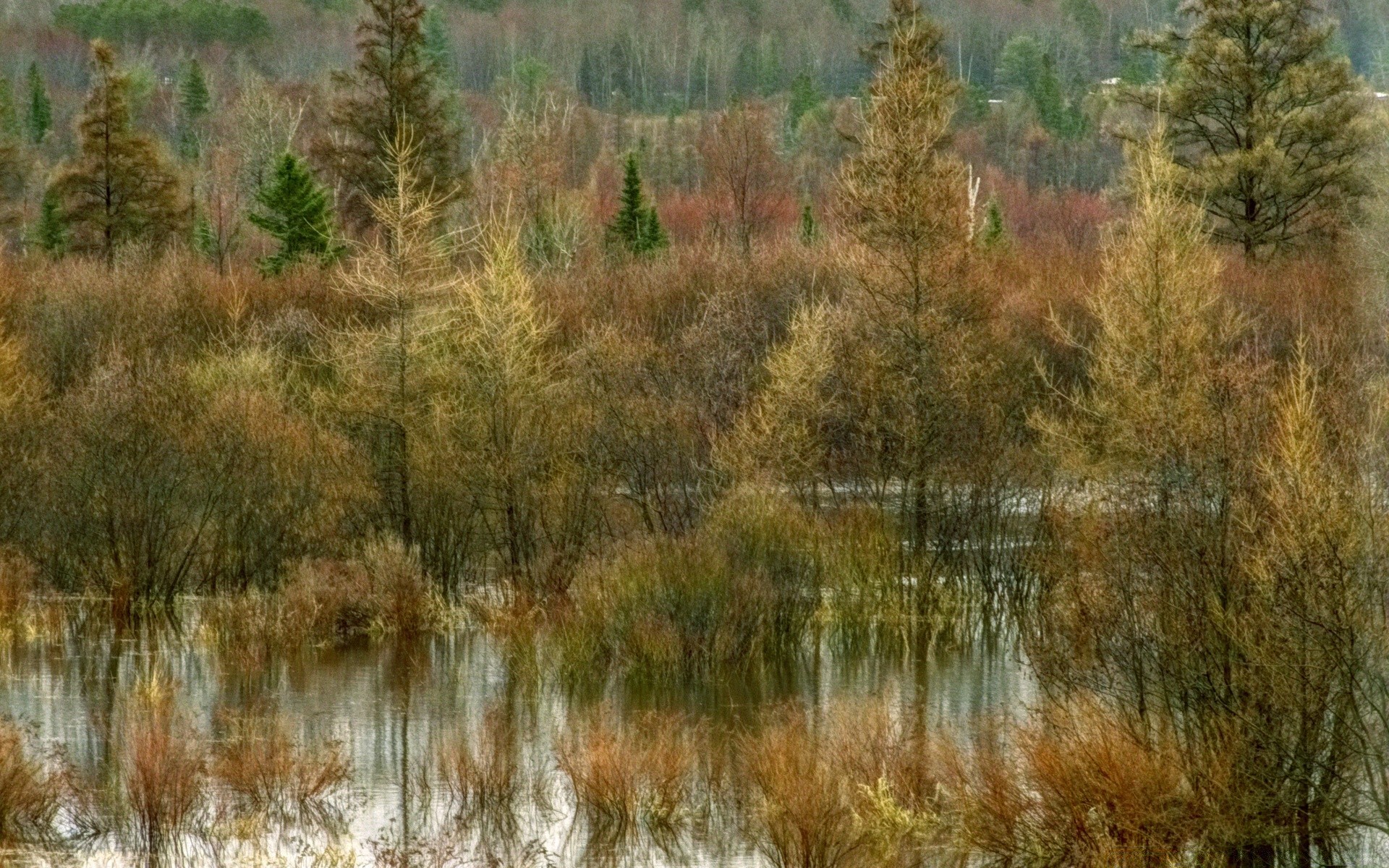 jahrgang wasser natur landschaft im freien holz holz see fluss herbst reflexion himmel landschaftlich gras park reisen umwelt