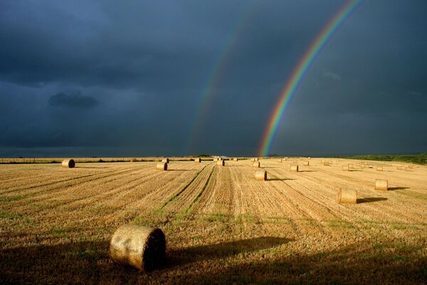 Agriculture dans la culture et la récolte