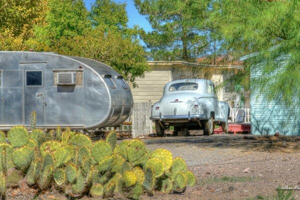 Cactus, coche viejo, casa-carro, uchatstock de la tierra