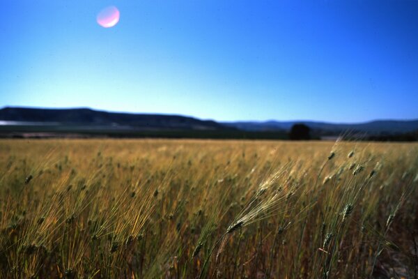 Landwirtschaftliches Feld coole Landschaft