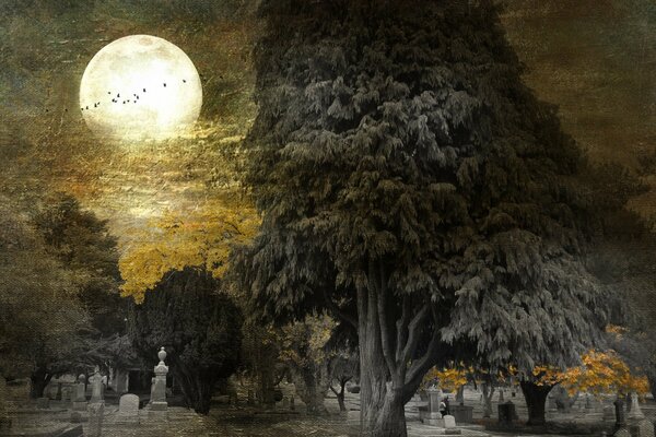 Full moon on a clear night in the cemetery