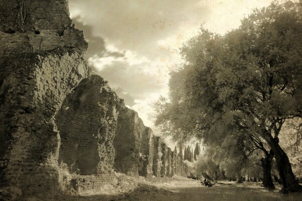 Voyage mystérieux à travers une forêt mystérieuse