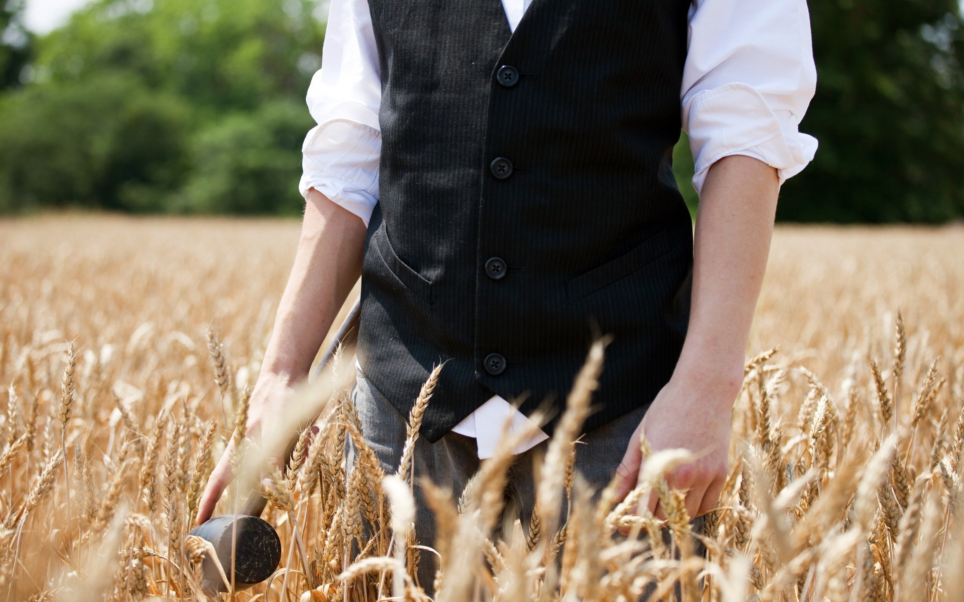 vintage wheat nature field summer outdoors woman grass girl countryside cereal straw pasture rural farm crop adult