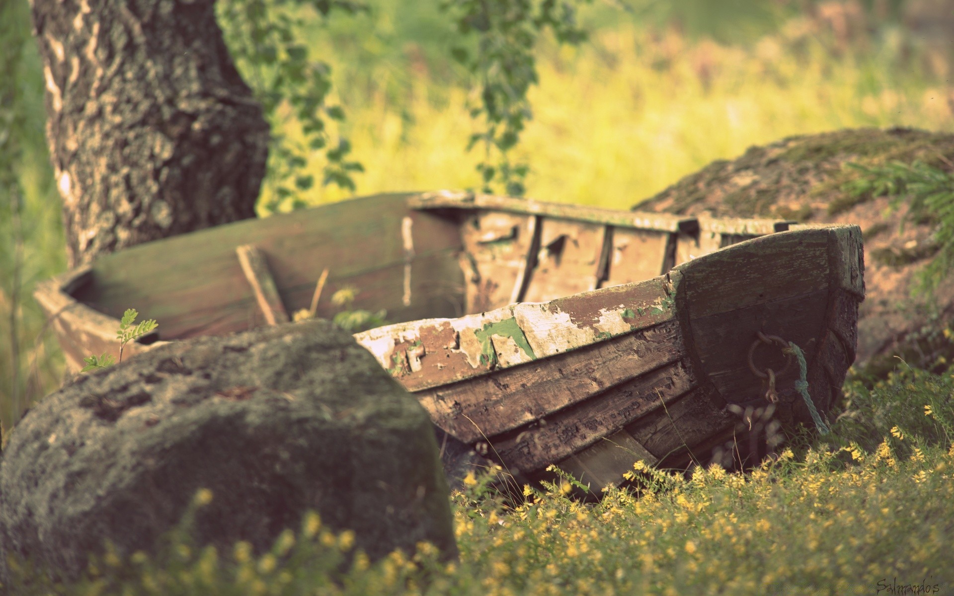 vintage all aperto natura erba legno albero paesaggio viaggi agricoltura militare