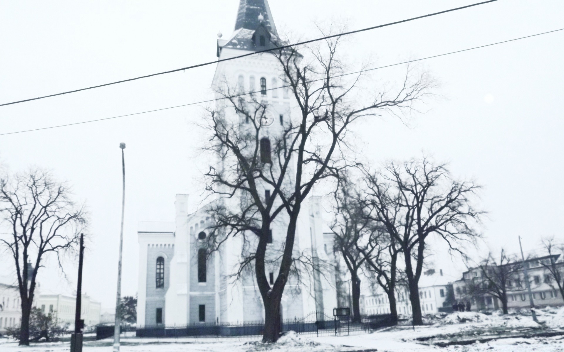 vintage árvore rua inverno ao ar livre casa arquitetura