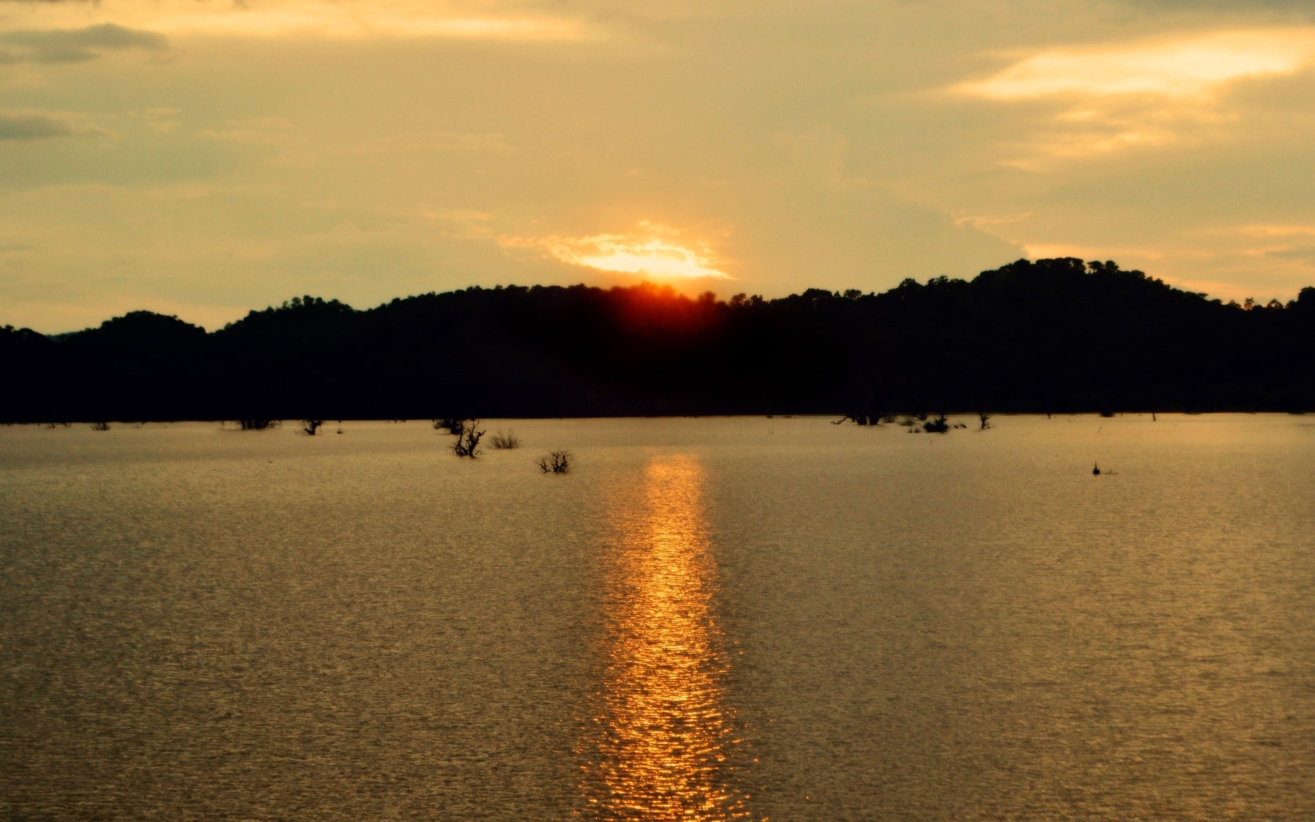 vintage sunset water dawn landscape lake reflection beach evening dusk tree river sun nature seashore sky sea light