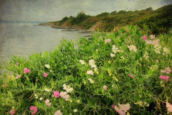 Vintage-Bild einer Sommerlichtung mit Blumen