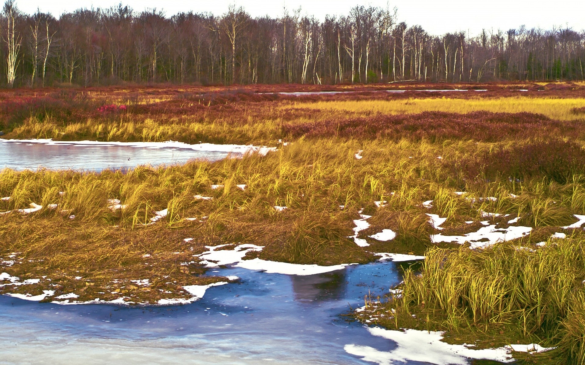 vintage paisaje agua naturaleza al aire libre lago madera escénico árbol río viajes reflexión otoño