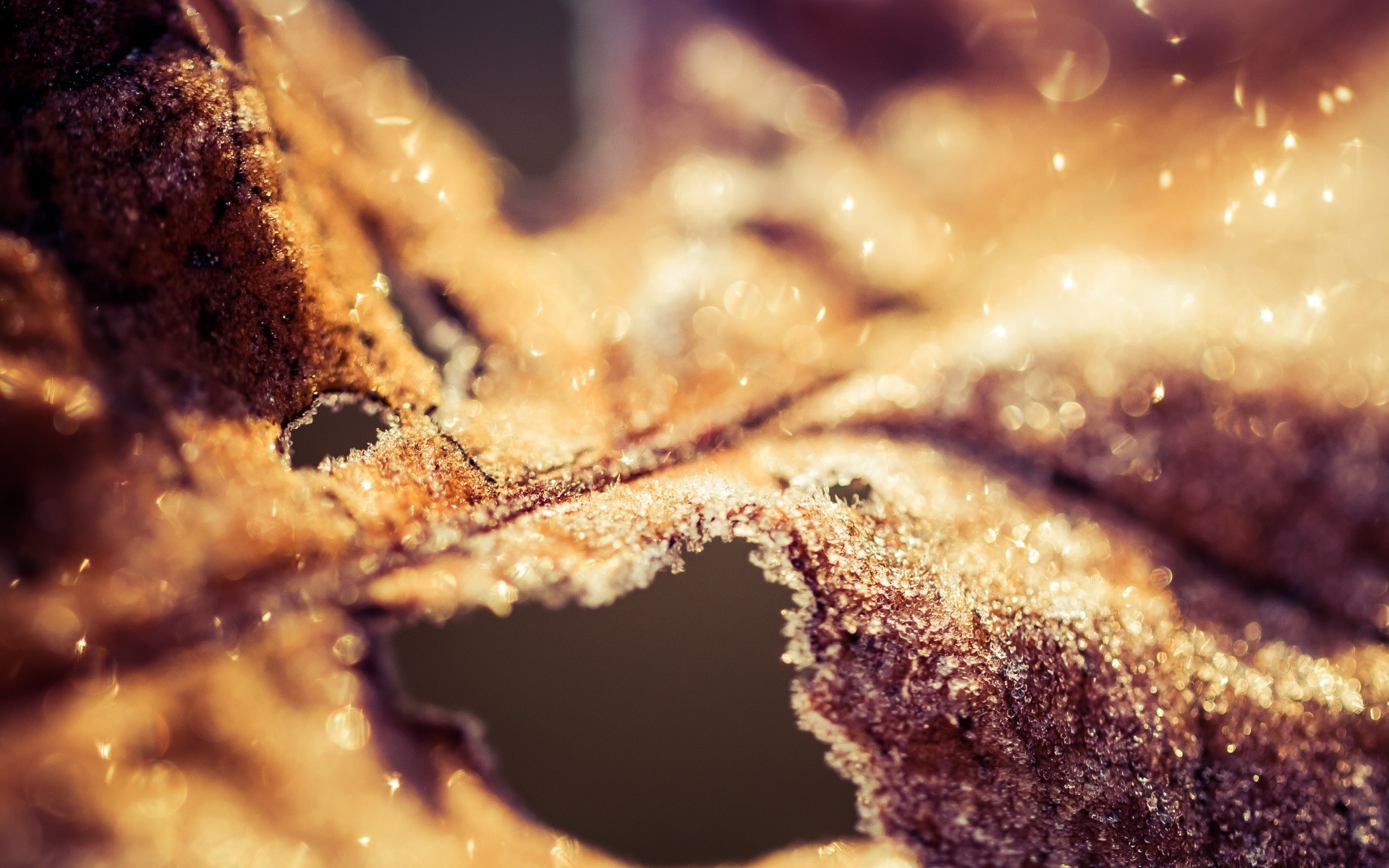 vintage cake food sweet sugar chocolate pastry close-up delicious bakery cookie homemade refreshment christmas breakfast texture plate tasty desktop candy