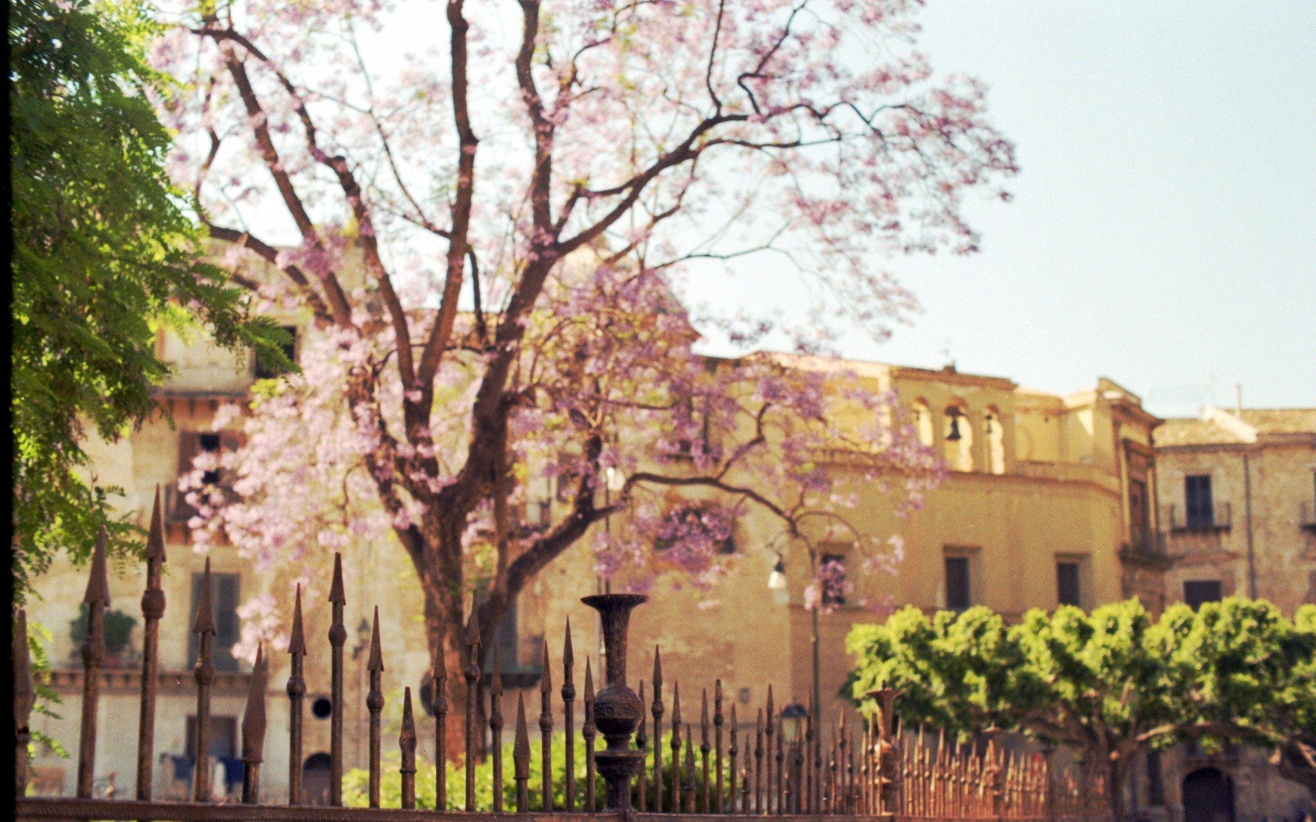 jahrgang baum architektur haus haus reisen stadt landschaft im freien garten spektakel park alt stadt straße außen landschaftlich tourismus