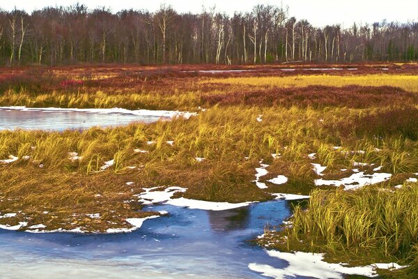 Fields in the water the arrival of spring