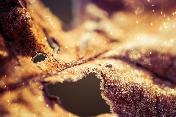 Macro photography of a piece of cake in the section