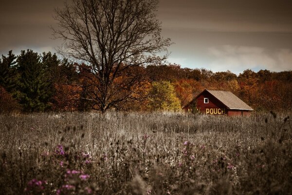 Maison solitaire sur fond de forêt d automne