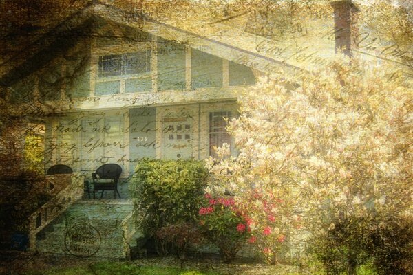 House, flowering trees, spring