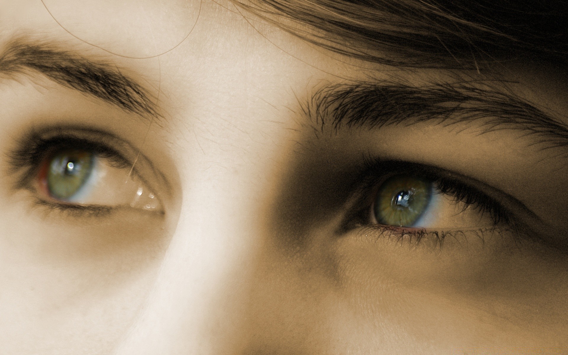 Женский взгляд зелёных глаз - обои на телефон.