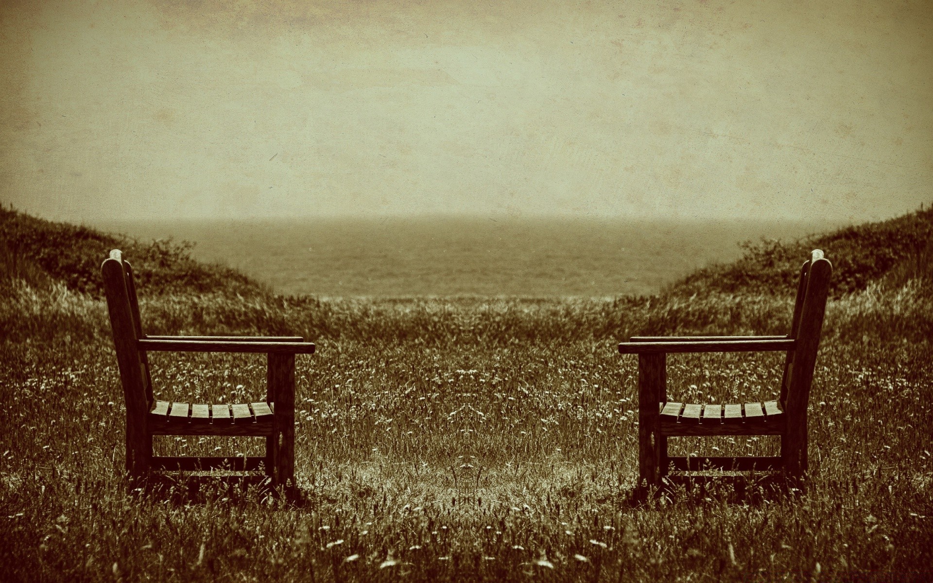 vintage monochrome bench seat wood landscape empty outdoors chair abandoned nature